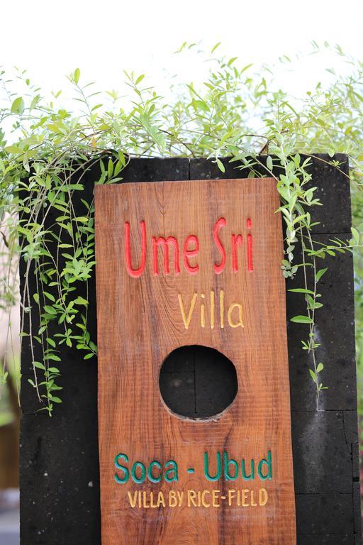 Ume Sri Villas Ubud Esterno foto